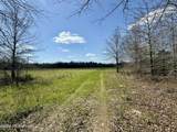  Mississippi 35 Highway - Photo 29