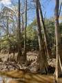  Mississippi 35 Highway - Photo 39