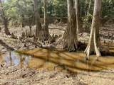  Mississippi 35 Highway - Photo 40