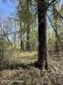  Mississippi 35 Highway - Photo 49