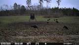 1711 U.S. 82 - Photo 12