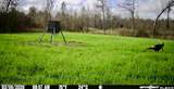 1711 U.S. 82 - Photo 13