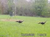 1711 U.S. 82 - Photo 15