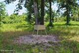 1711 U.S. 82 - Photo 33