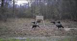 1711 U.S. 82 - Photo 35