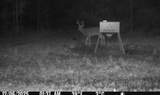 1711 U.S. 82 - Photo 36