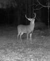 1711 U.S. 82 - Photo 43