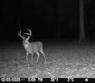 1711 U.S. 82 - Photo 44