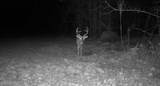 1711 U.S. 82 - Photo 47