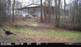 1711 U.S. 82 - Photo 5
