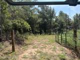  Mississippi 41 - Photo 15