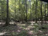  Mississippi 41 - Photo 23