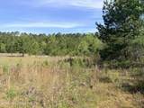  Chathaw Path - Photo 6