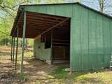 349 Cox Road - Photo 4