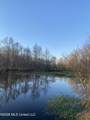 Tbd County Road 48 - Photo 10