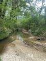 Tbd County Road 48 - Photo 13