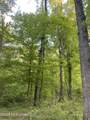 Tbd County Road 48 - Photo 22