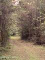 Tbd County Road 48 - Photo 27