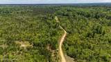 Tbd County Road 48 - Photo 36