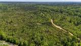 Tbd County Road 48 - Photo 38