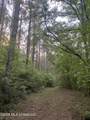 Tbd County Road 48 - Photo 44