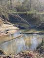 Tbd County Road 48 - Photo 59