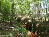  Hwy 25 - Photo 13