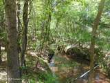  Hwy 25 - Photo 2