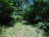  Hwy 25 - Photo 24