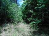  Hwy 25 - Photo 25
