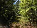  Hwy 25 - Photo 27