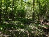  Hwy 25 - Photo 28
