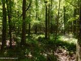  Hwy 25 - Photo 29