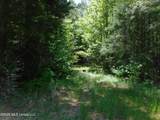  Hwy 25 - Photo 5