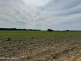  Old Jackson Road - Photo 5