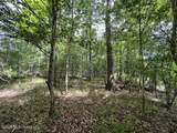 30.14 Acre Highway 57 - Photo 10