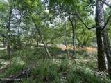 30.14 Acre Highway 57 - Photo 11