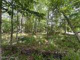 30.14 Acre Highway 57 - Photo 12