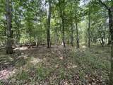 30.14 Acre Highway 57 - Photo 13