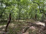 30.14 Acre Highway 57 - Photo 17