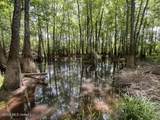 30.14 Acre Highway 57 - Photo 18