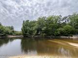30.14 Acre Highway 57 - Photo 19