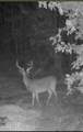  Ferguson Mill Road - Photo 6