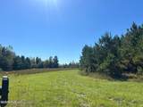 72ac Skyline Road - Photo 2