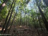  Hamilton Road - Photo 12