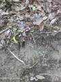  Hamilton Road - Photo 16