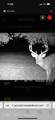 00 County Road 3102 - Photo 49