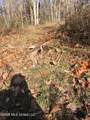 00 County Road 3102 - Photo 50