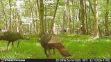 00 County Road 3102 - Photo 74
