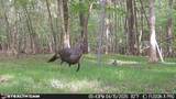 00 County Road 3102 - Photo 75